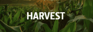 harvest