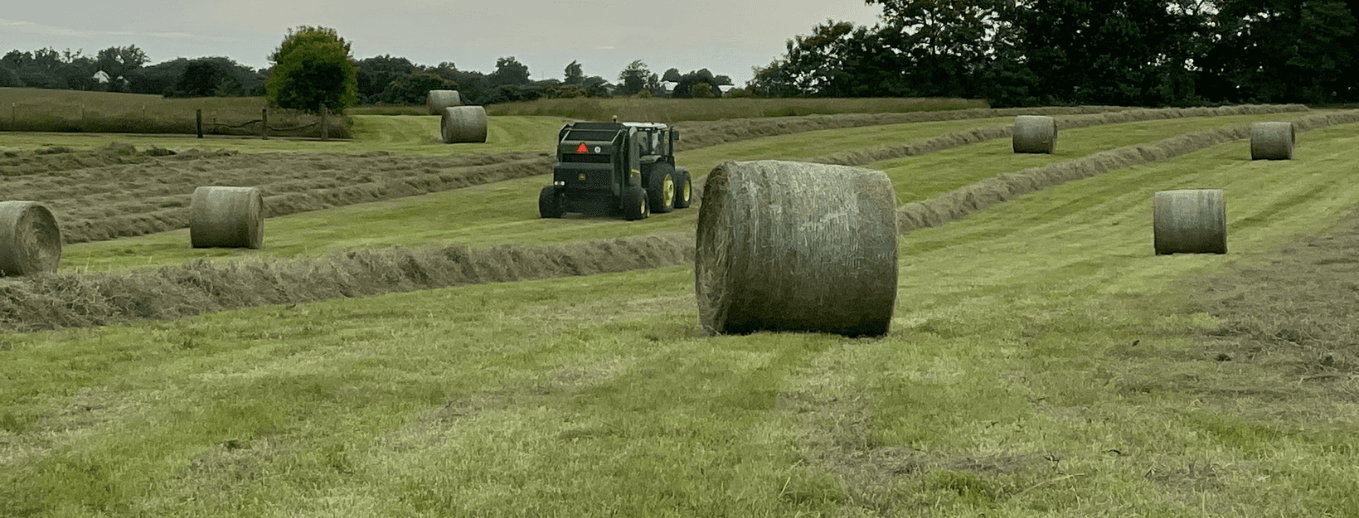 2026 Netwrap / Twine Program